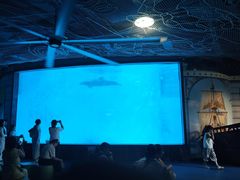 -海合安成都极地海洋公园