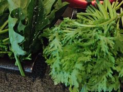 -湊湊火锅·茶憩(皇姑万象汇店)