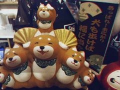 -豆柴町-柴犬主题狗咖(红鼎国际C座店)