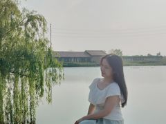 -杭州湾海上花田景区
