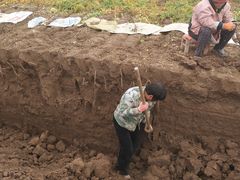 -解家河南菜(商鼎路店)