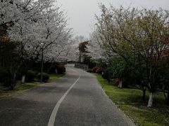 -尚贤河湿地