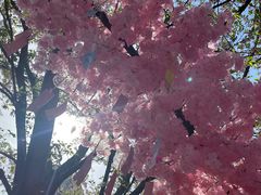 -莹珠阁·私房菜