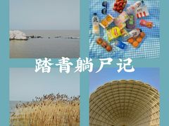 -上海吴淞炮台湾国家湿地公园