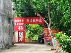 -龟场私房菜