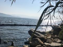 -才村湿地公园