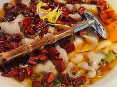 沸腾黑鱼-桂满陇天书(南京德基旗舰店)
