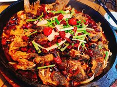 老板恋上鱼-老板恋上鱼(恒隆广场店)