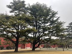 -北京市劳动人民文化宫(太庙)