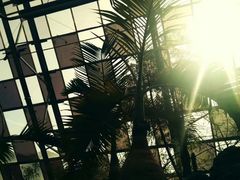 -亿利库布其七星湖沙漠生态旅游区