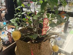 -seeu coffee(江滩店)