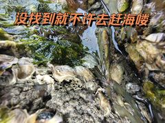 -石槽海滨浴场