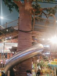 -卡通尼·Safari非洲探索乐园·生日会(金桥国际商业广场店)