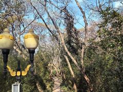 -句容茅山景区