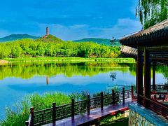 -北坞公园