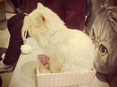 -小时光咖啡馆(开森度假森林店)