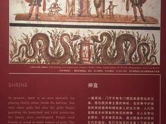 -盘龙城国家考古遗址公园