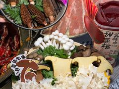 -朱光玉火锅馆(正弘城店)