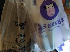 -一只酸奶牛(曲江龙湖星悦荟店)