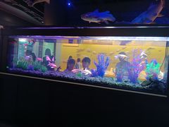 -福州科技馆