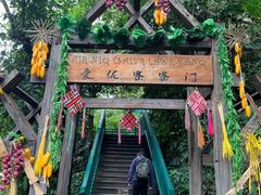 -西双版纳原始森林公园