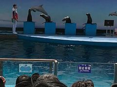 -秦皇岛新澳海底世界