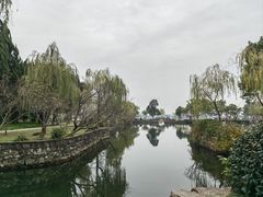 -无锡蠡湖国家湿地公园-蠡园