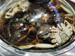 -集品鲜湾·蒸汽海鲜自助料理(青岛银座和谐广场店)
