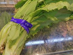 -鑫福隆生鲜超市(沈营大街店)