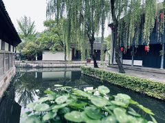 -鲁镇