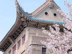 -武汉大学-樱园