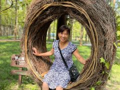 -黄海国家森林公园