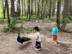 -林间山庄