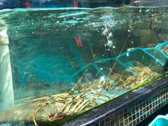 -海大大蒸汽海鲜餐厅·粤菜·特色小炒(欢乐颂店)