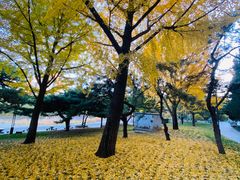 -元大都城垣遗址公园