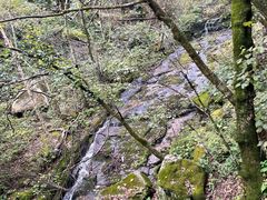 -洛阳白云山景区