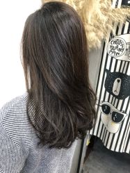 烫染-HD HAIR STYLE