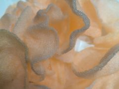 -金刚山烧烤(红旗大街店)