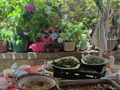 -鱼乐岛餐厅·户外花园主题餐厅