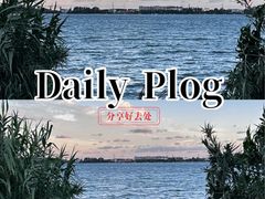 -漕湖湿地公园