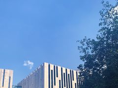 -江苏省美术馆(长江路新馆)