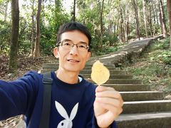 -火炉山森林公园