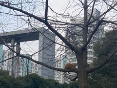 -全家便利店(东湖林语店)