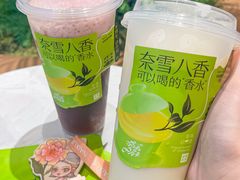-奈雪的茶(M+世纪都会广场店)