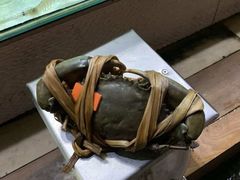 -光海鲜鱼翅餐厅(叻差拉披色路店)