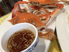 -华圆美食-老蓬莱菜(蓬港路店)