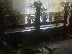 -金指缘足浴(望园路旗舰店)