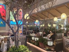 -桂满陇·海市蜃楼·黑金(国金店)