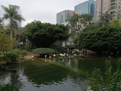 -九龙公园