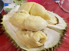 -都念榴莲·城市榴莲